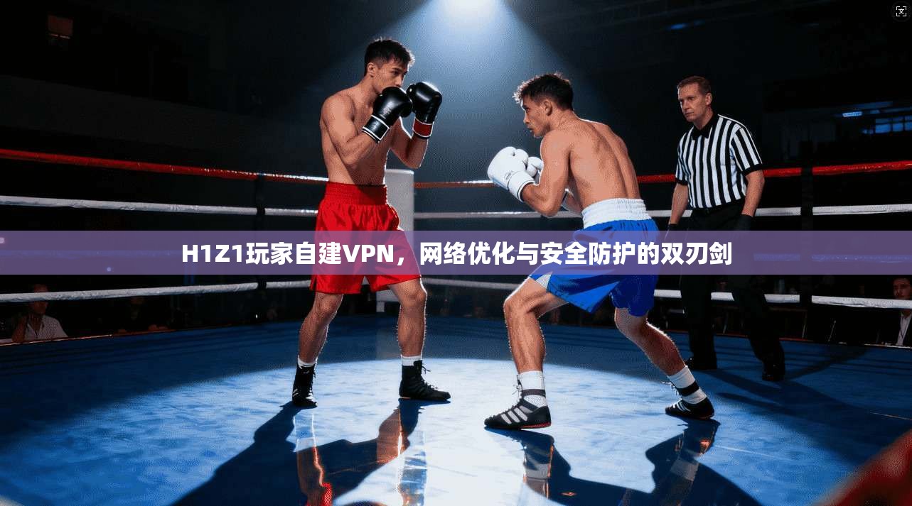 H1Z1玩家自建VPN，网络优化与安全防护的双刃剑