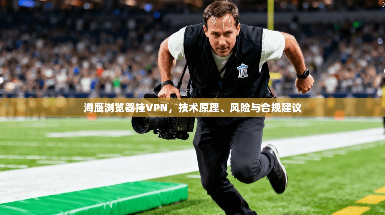 海鹰浏览器挂VPN，技术原理、风险与合规建议