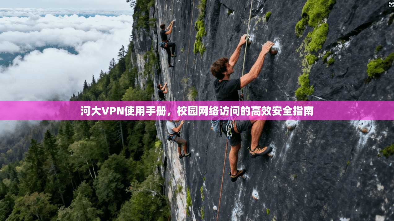 河大VPN使用手册，校园网络访问的高效安全指南