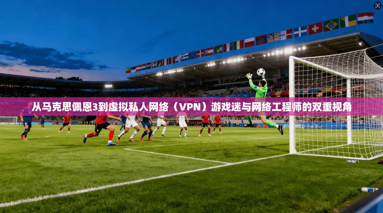 从马克思佩恩3到虚拟私人网络（VPN）游戏迷与网络工程师的双重视角