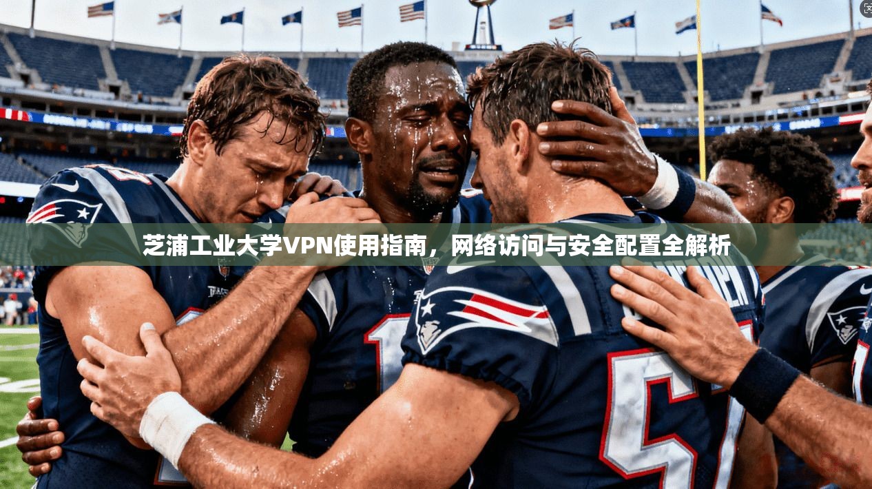芝浦工业大学VPN使用指南，网络访问与安全配置全解析