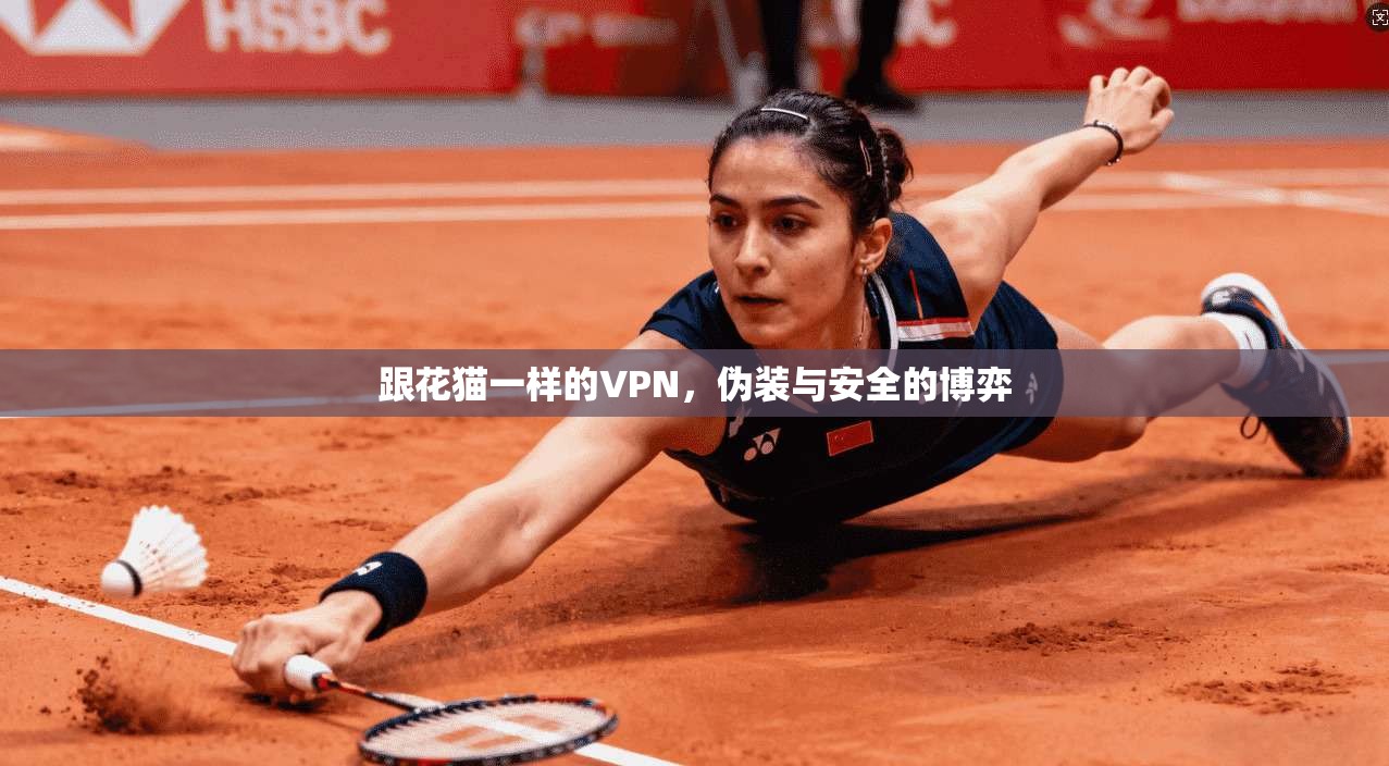 跟花猫一样的VPN，伪装与安全的博弈