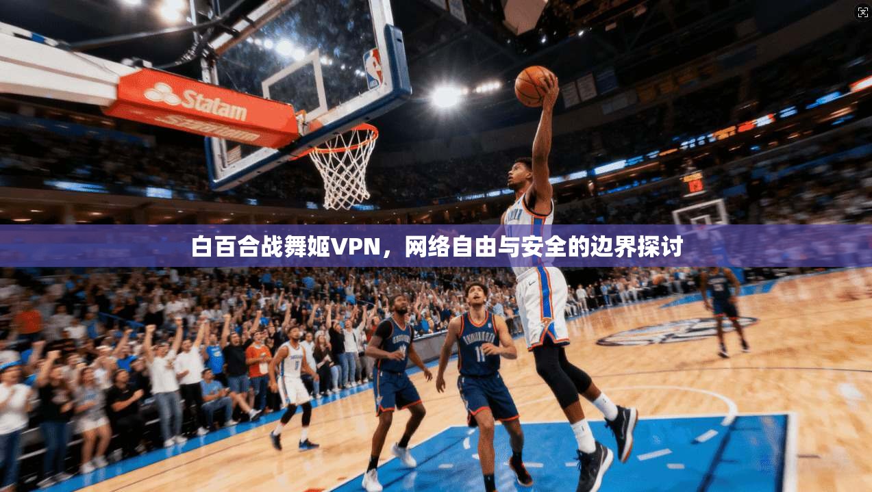 白百合战舞姬VPN，网络自由与安全的边界探讨