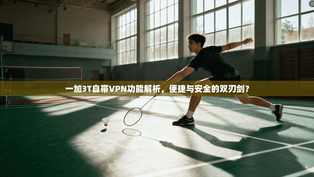 一加3T自带VPN功能解析，便捷与安全的双刃剑？