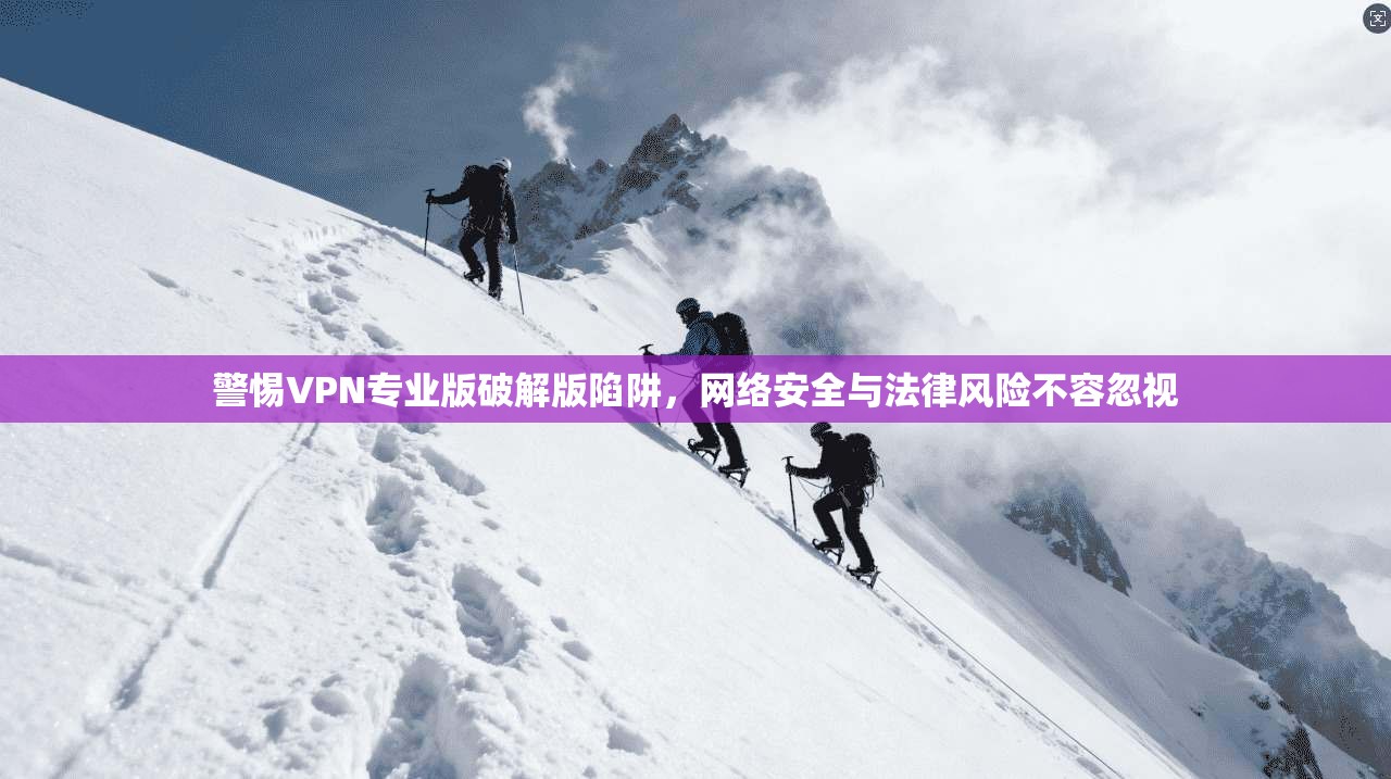 警惕VPN专业版破解版陷阱，网络安全与法律风险不容忽视