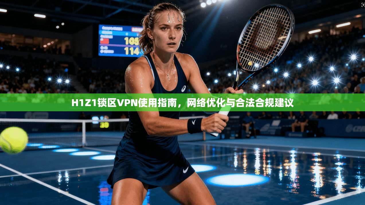 H1Z1锁区VPN使用指南，网络优化与合法合规建议