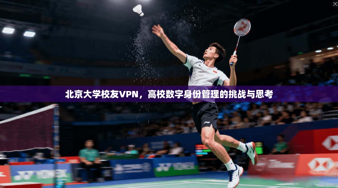 北京大学校友VPN，高校数字身份管理的挑战与思考