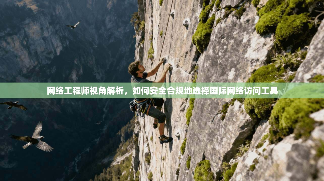 网络工程师视角解析，如何安全合规地选择国际网络访问工具