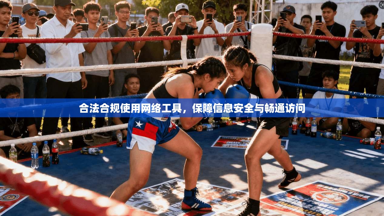 合法合规使用网络工具，保障信息安全与畅通访问