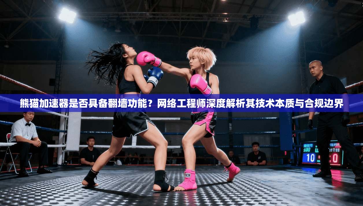 熊猫加速器是否具备翻墙功能？网络工程师深度解析其技术本质与合规边界