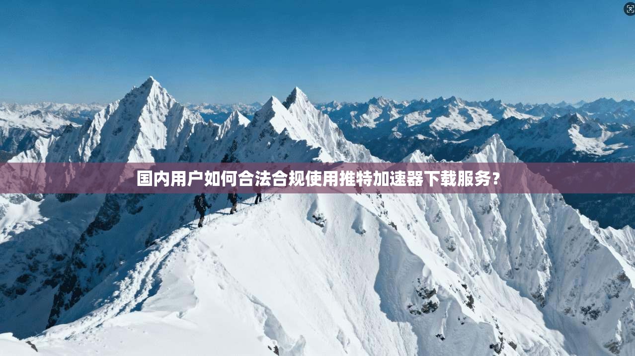 国内用户如何合法合规使用推特加速器下载服务？