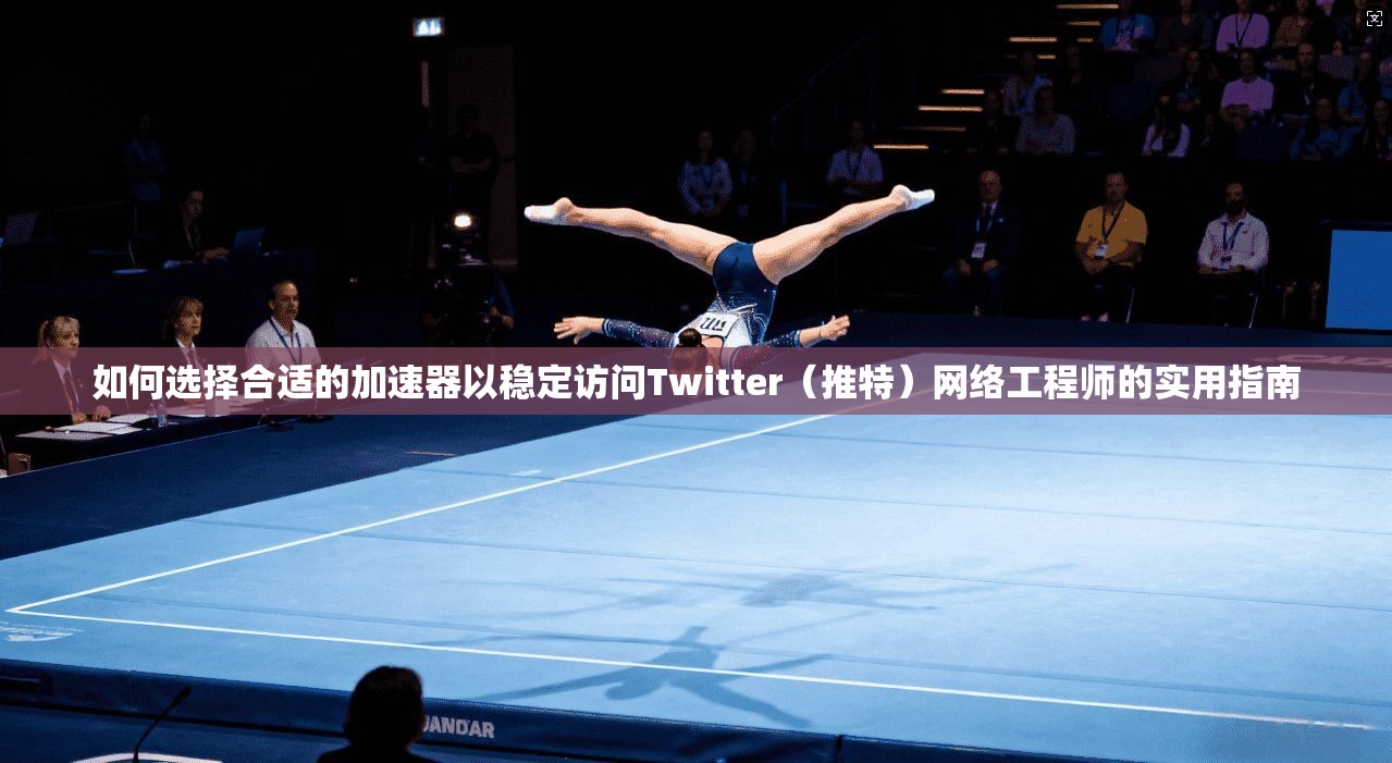 如何选择合适的加速器以稳定访问Twitter（推特）网络工程师的实用指南