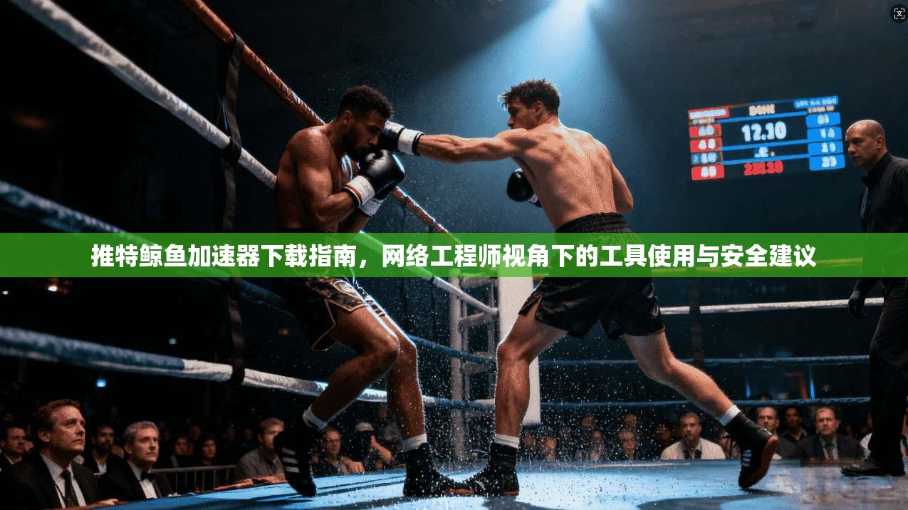 推特鲸鱼加速器下载指南，网络工程师视角下的工具使用与安全建议