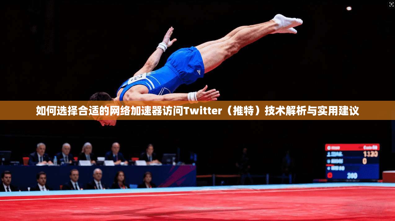 如何选择合适的网络加速器访问Twitter（推特）技术解析与实用建议