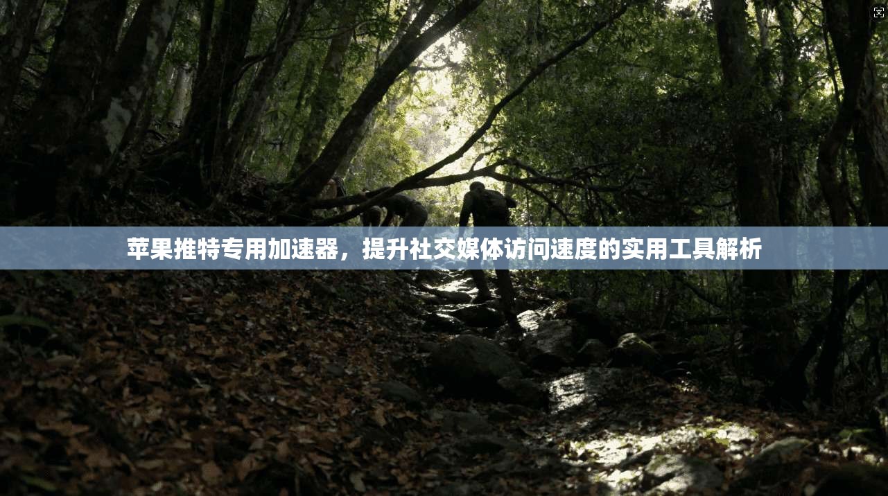 苹果推特专用加速器，提升社交媒体访问速度的实用工具解析