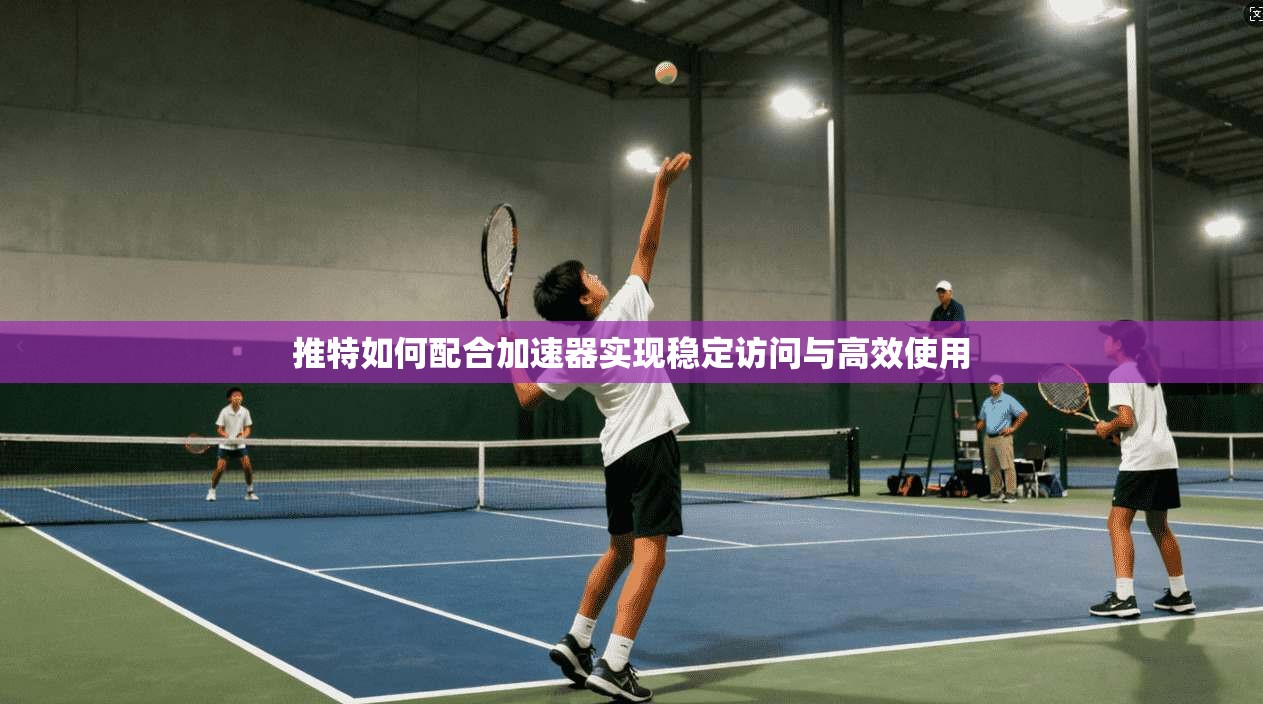 推特如何配合加速器实现稳定访问与高效使用