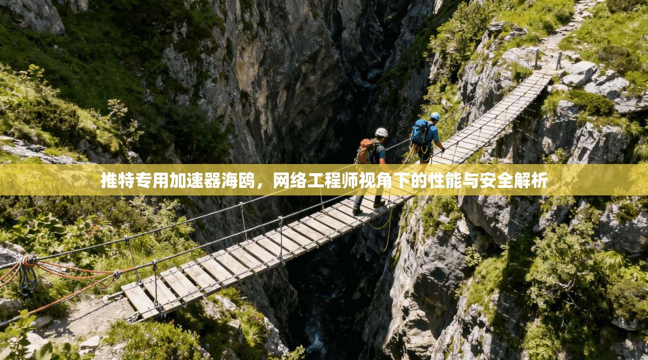 推特专用加速器海鸥，网络工程师视角下的性能与安全解析