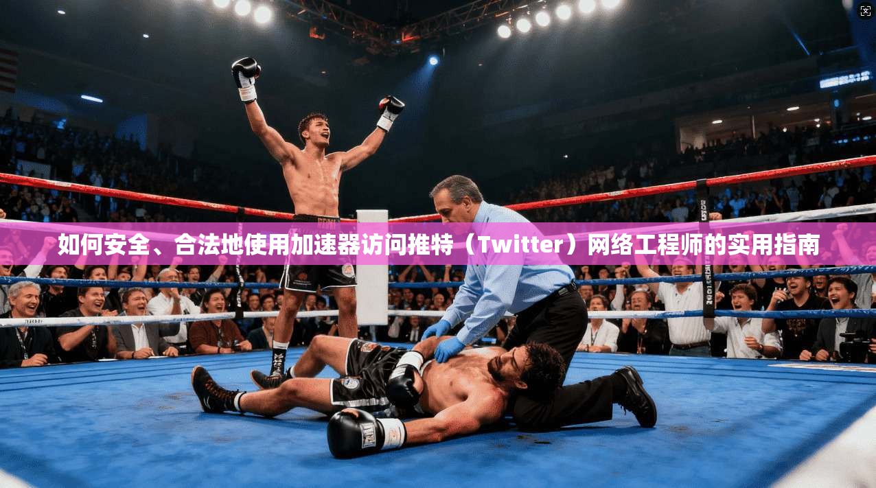如何安全、合法地使用加速器访问推特（Twitter）网络工程师的实用指南