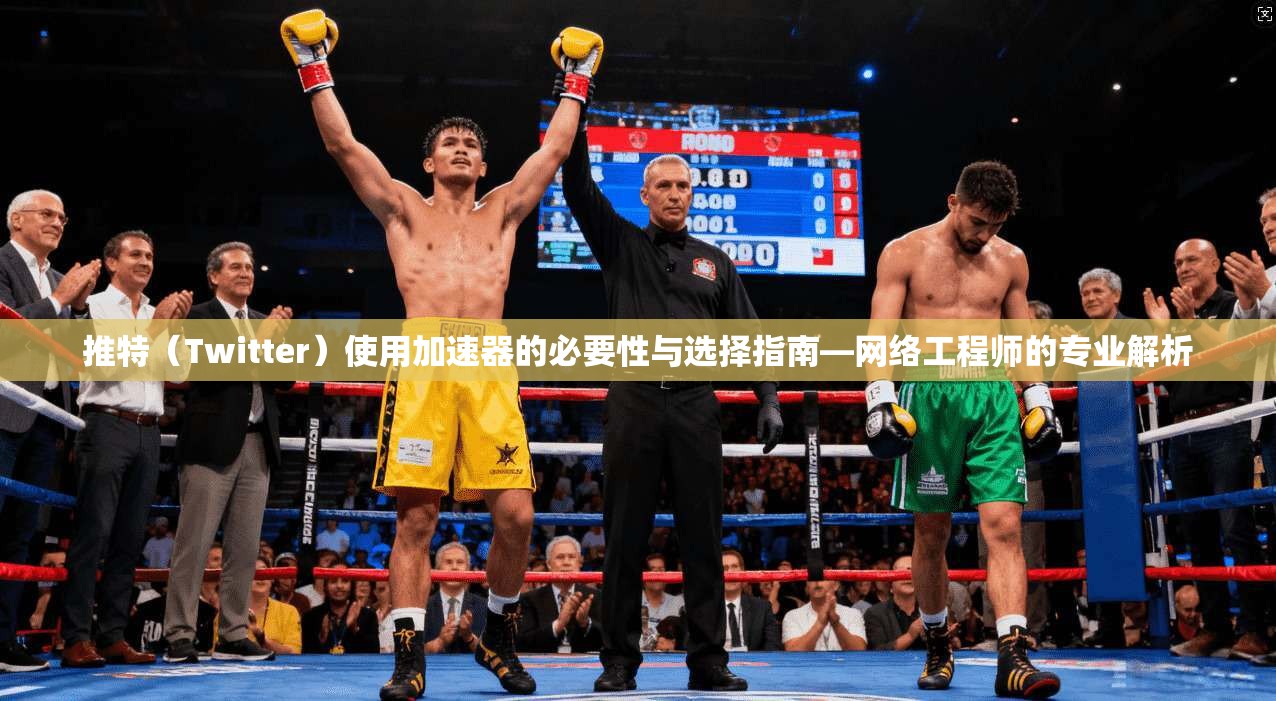 推特（Twitter）使用加速器的必要性与选择指南—网络工程师的专业解析