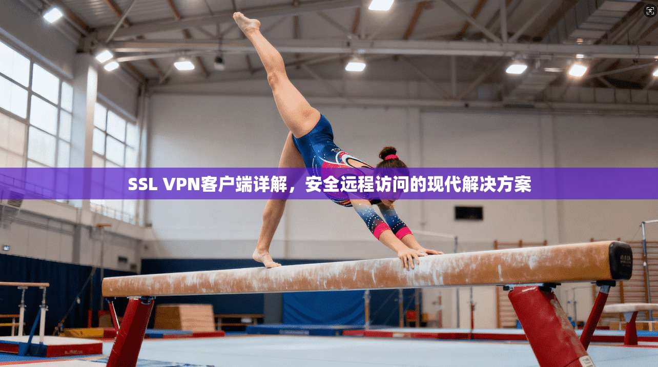 SSL VPN客户端详解，安全远程访问的现代解决方案