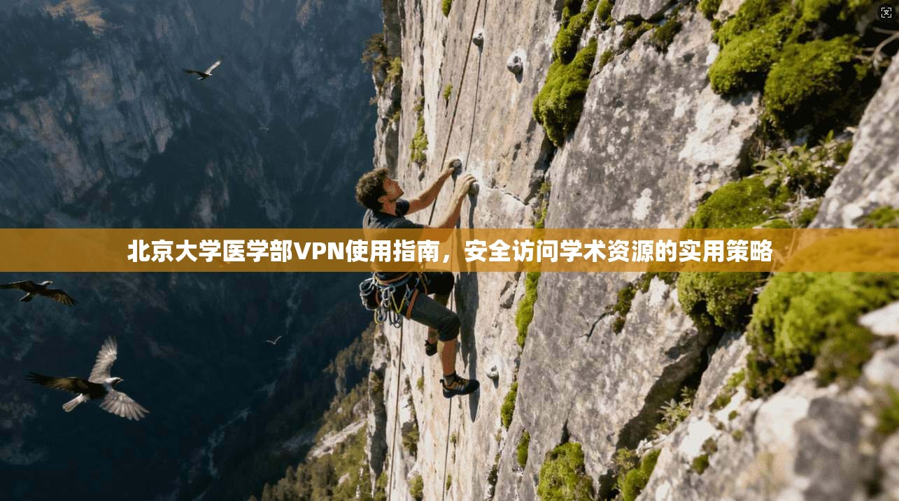 北京大学医学部VPN使用指南，安全访问学术资源的实用策略