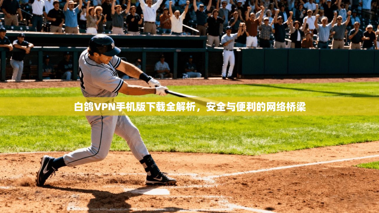 白鸽VPN手机版下载全解析，安全与便利的网络桥梁