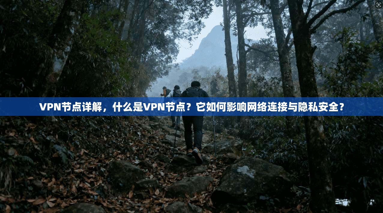 VPN节点详解，什么是VPN节点？它如何影响网络连接与隐私安全？
