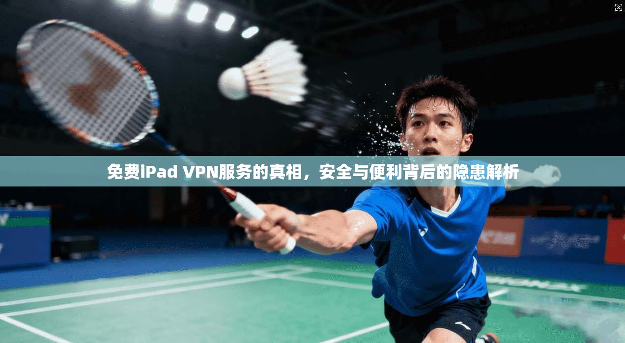 免费iPad VPN服务的真相，安全与便利背后的隐患解析