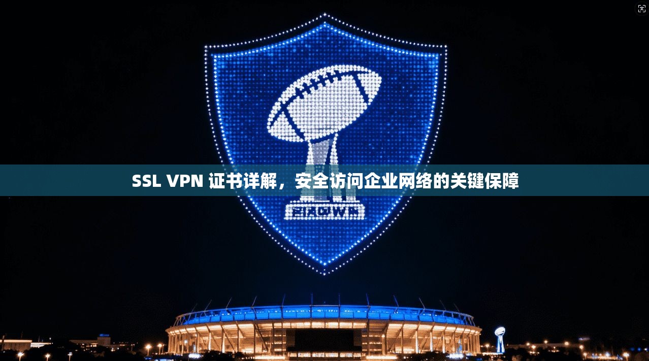SSL VPN 证书详解，安全访问企业网络的关键保障