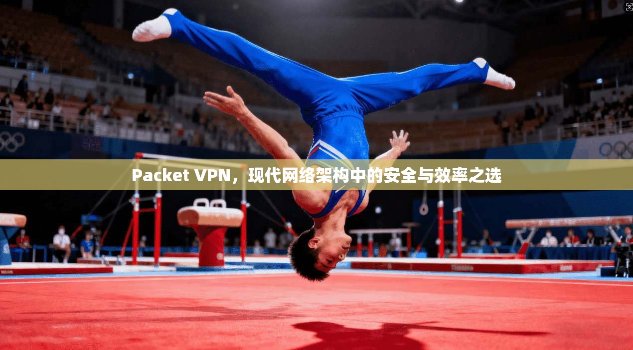 Packet VPN，现代网络架构中的安全与效率之选