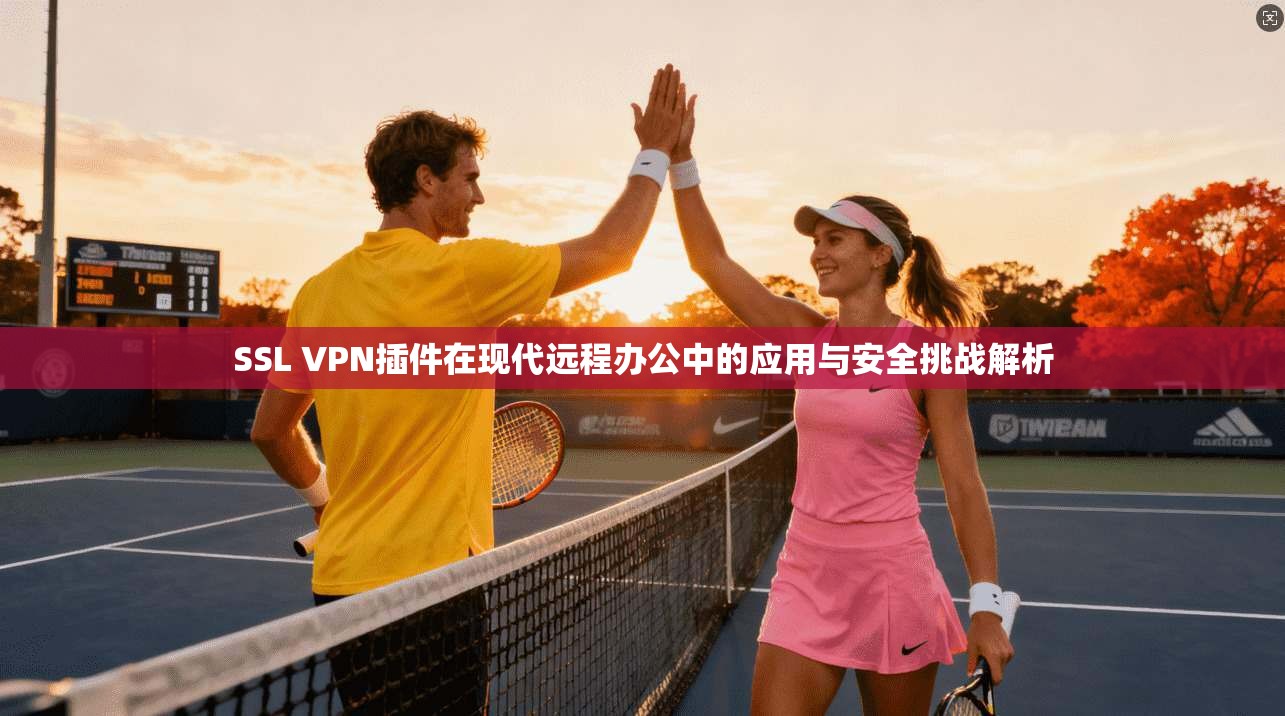 SSL VPN插件在现代远程办公中的应用与安全挑战解析