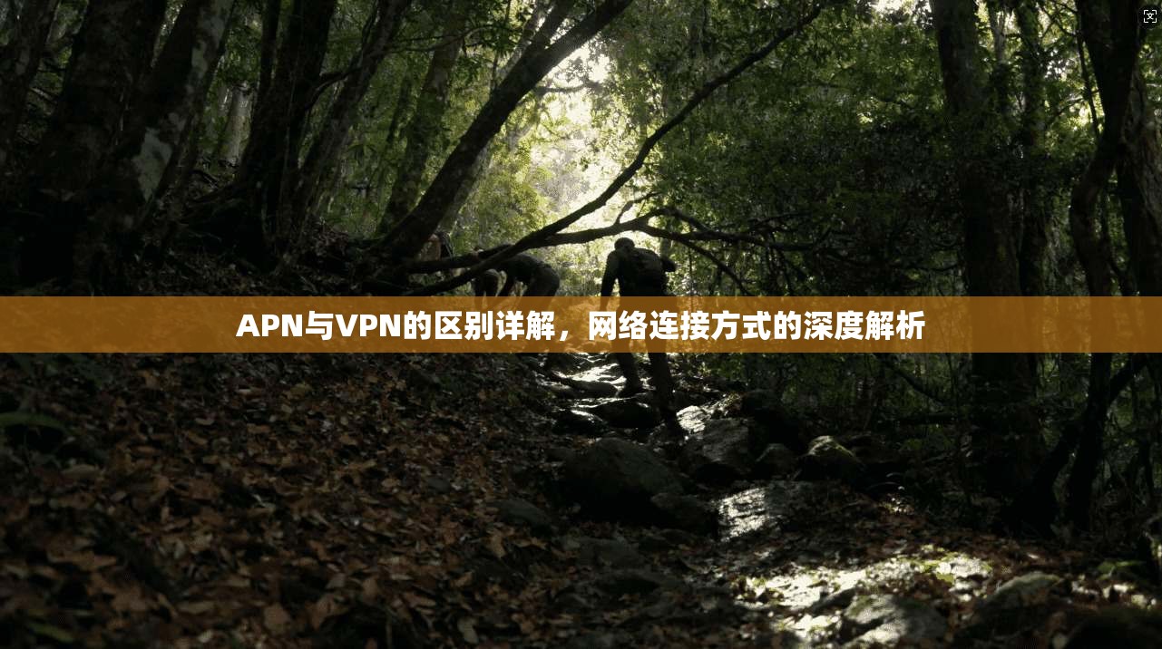 APN与VPN的区别详解，网络连接方式的深度解析