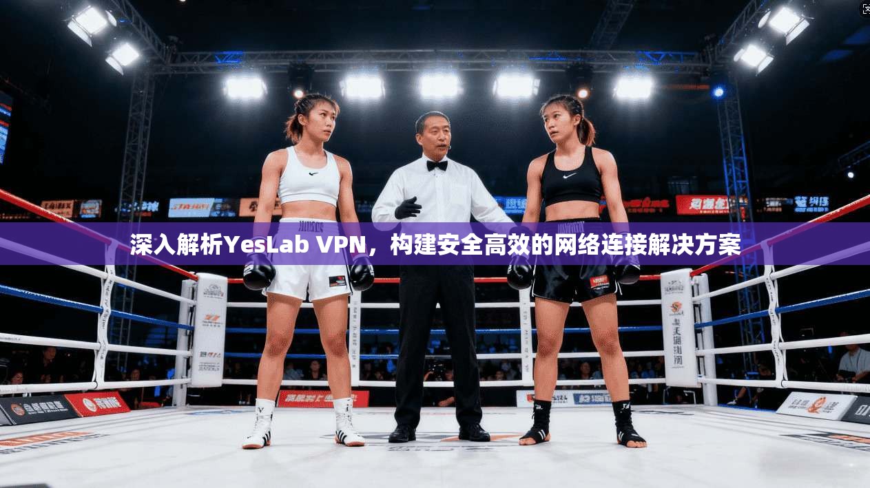 深入解析YesLab VPN，构建安全高效的网络连接解决方案