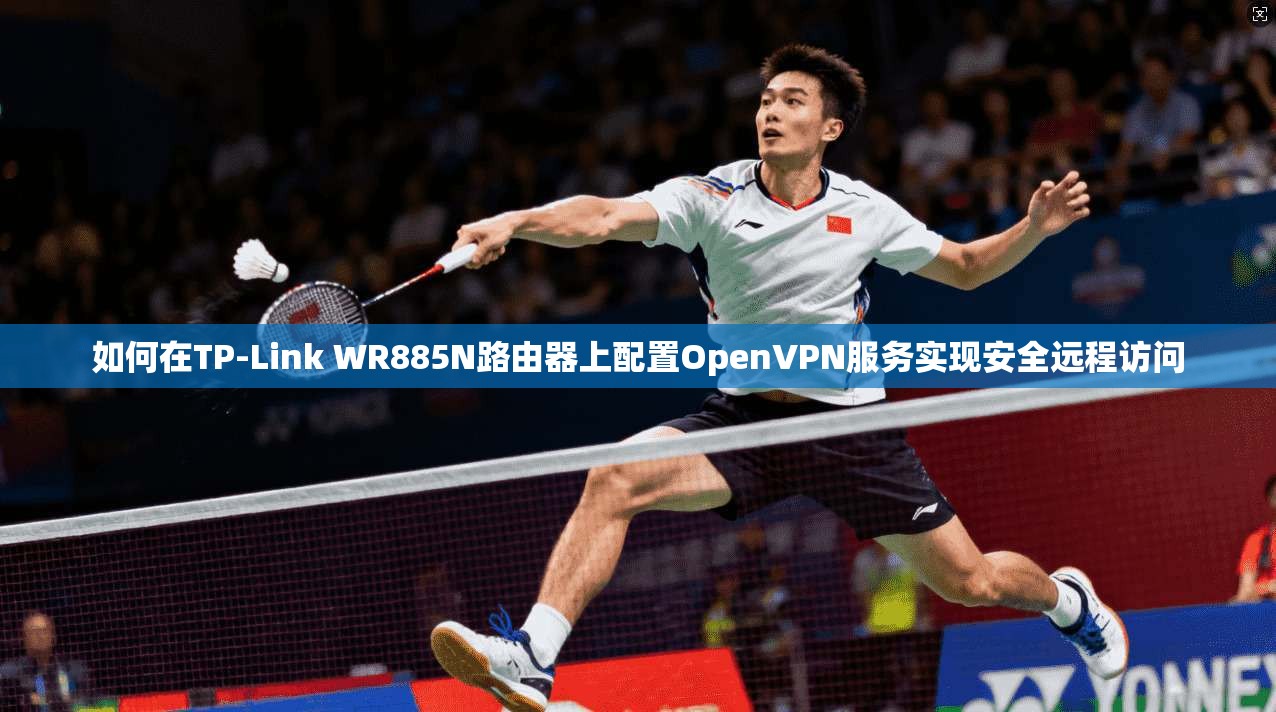 如何在TP-Link WR885N路由器上配置OpenVPN服务实现安全远程访问