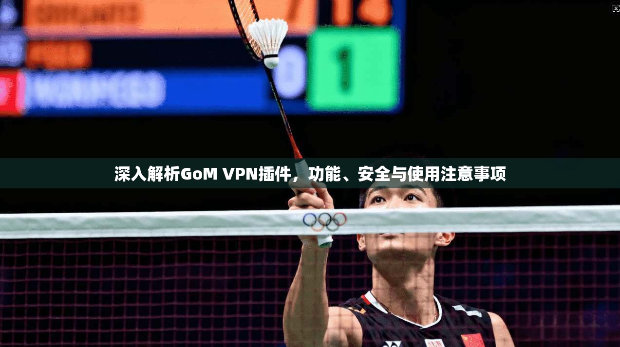 深入解析GoM VPN插件，功能、安全与使用注意事项