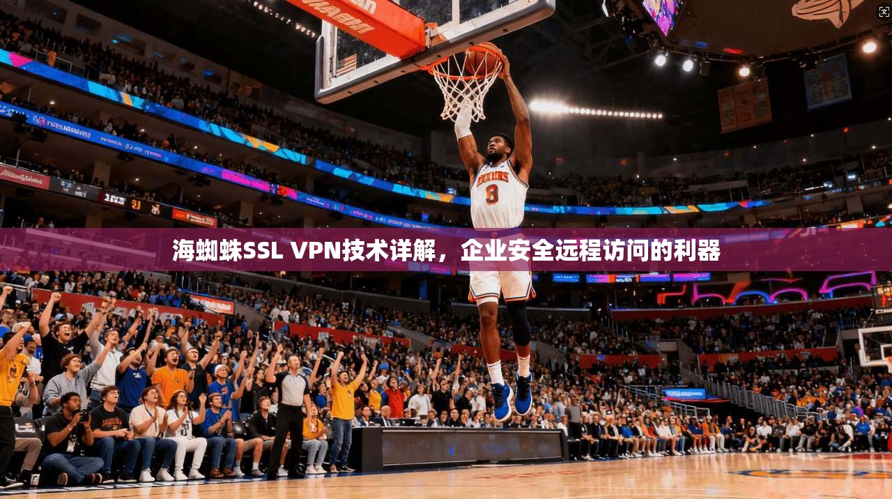 海蜘蛛SSL VPN技术详解，企业安全远程访问的利器