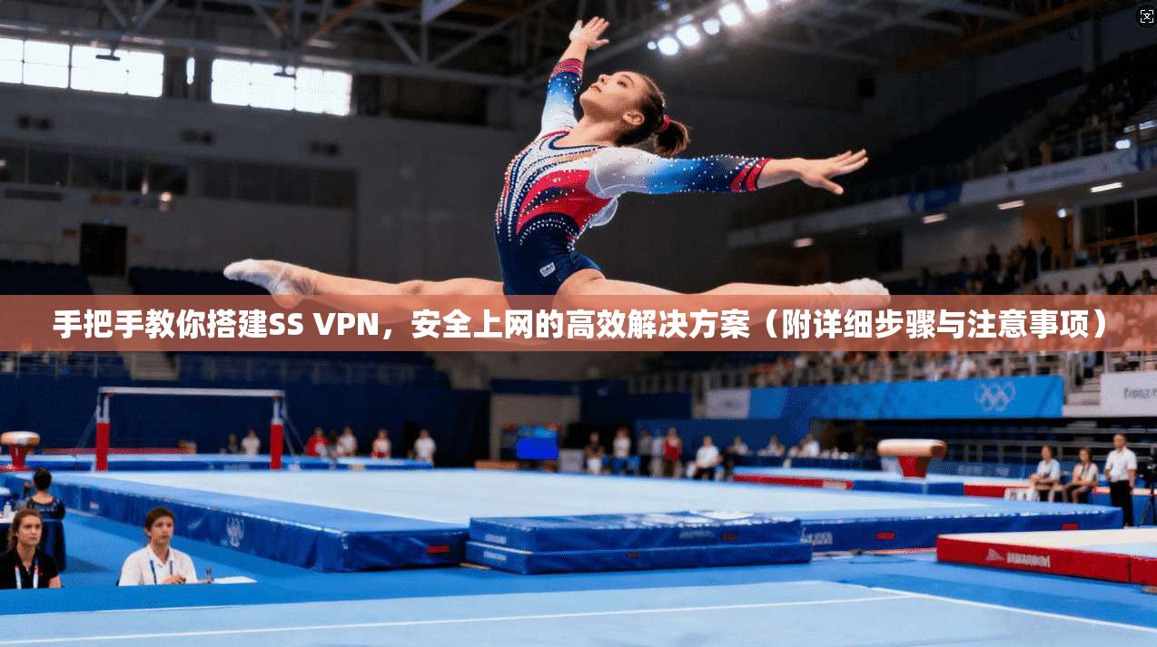 手把手教你搭建SS VPN，安全上网的高效解决方案（附详细步骤与注意事项）