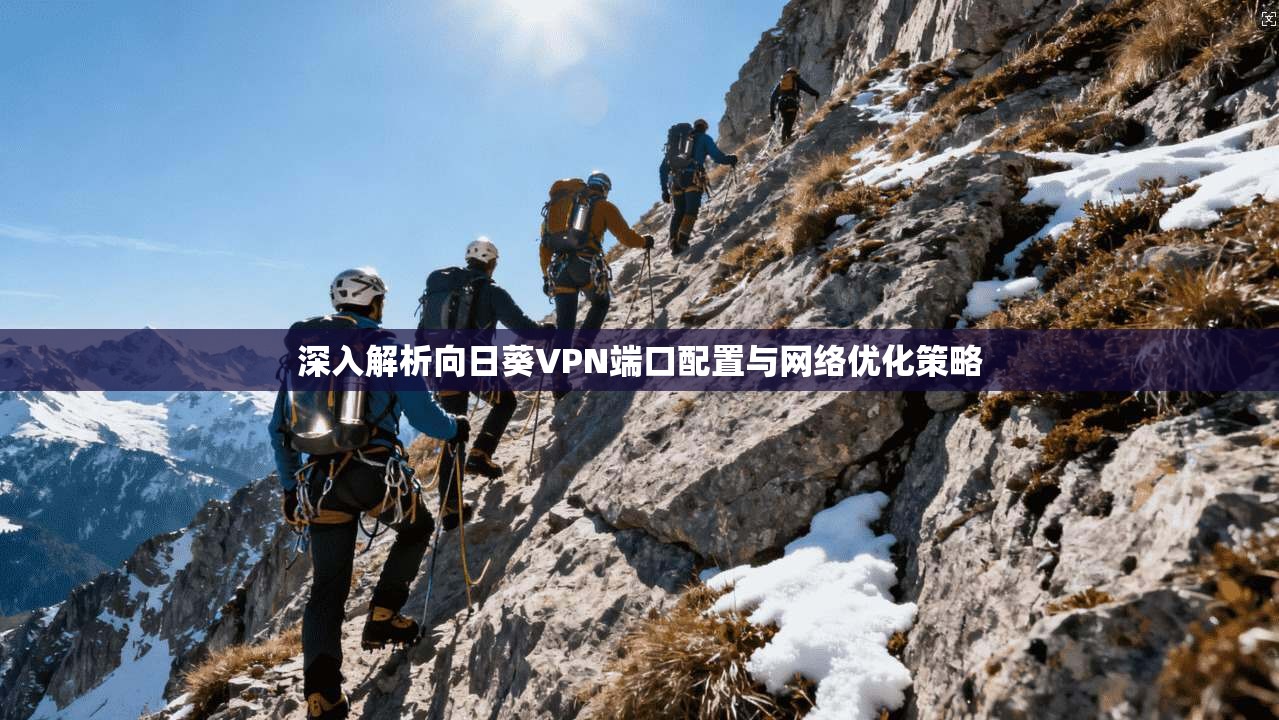 深入解析向日葵VPN端口配置与网络优化策略