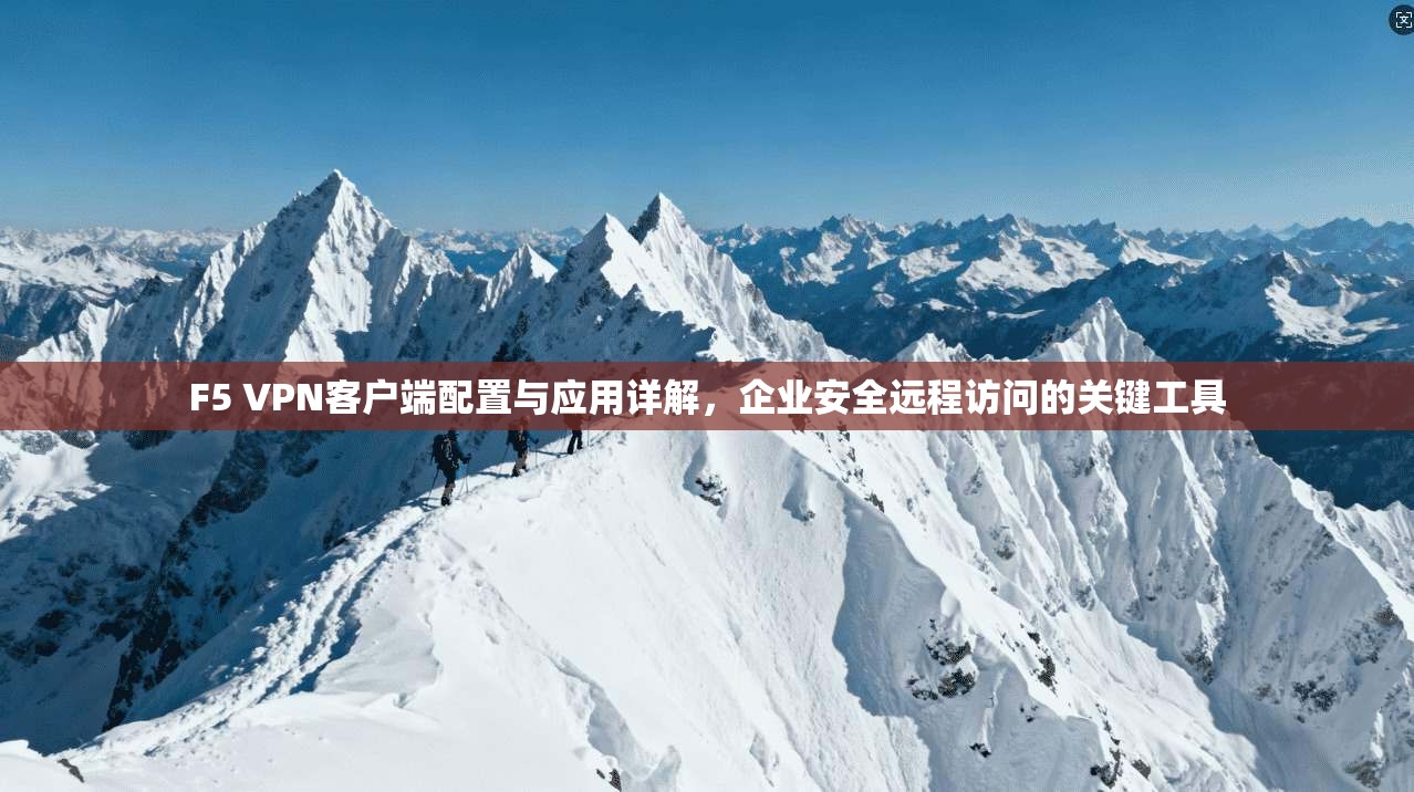 F5 VPN客户端配置与应用详解，企业安全远程访问的关键工具
