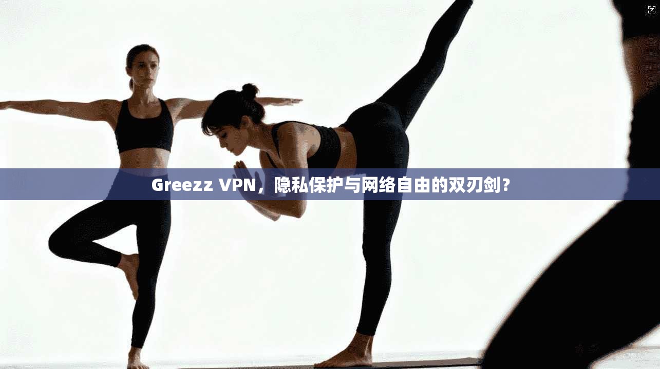 Greezz VPN，隐私保护与网络自由的双刃剑？