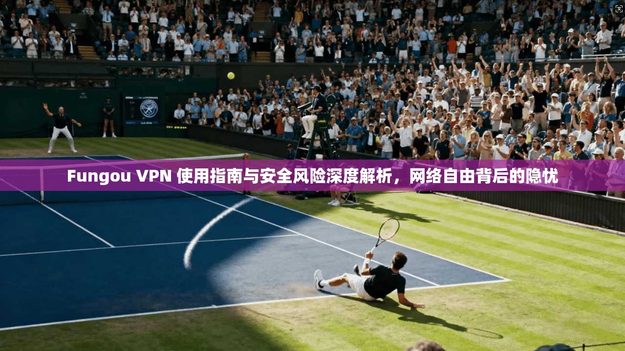 Fungou VPN 使用指南与安全风险深度解析，网络自由背后的隐忧