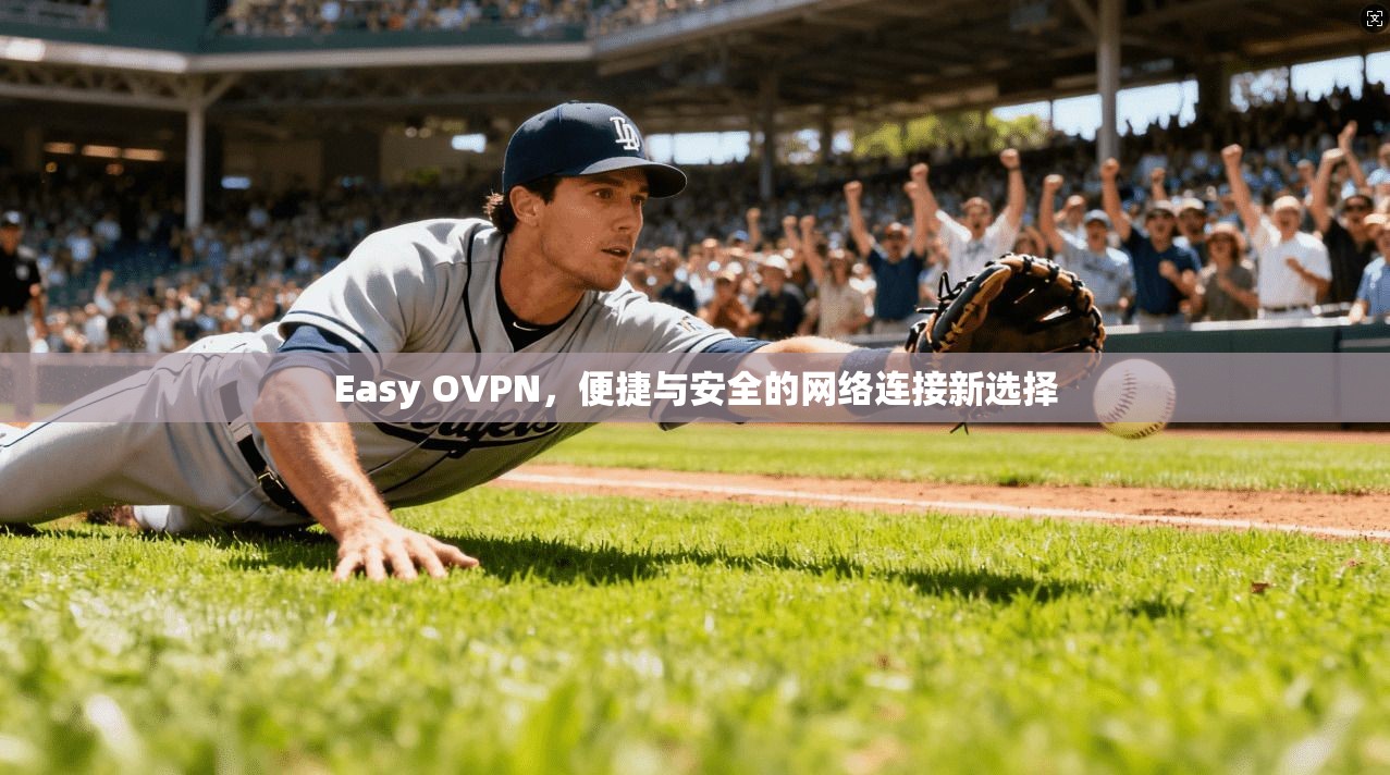 Easy OVPN，便捷与安全的网络连接新选择
