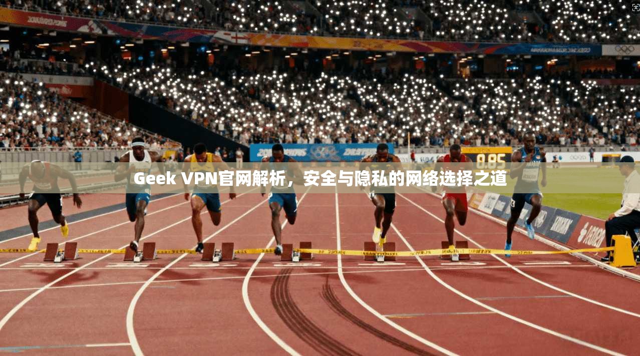Geek VPN官网解析，安全与隐私的网络选择之道