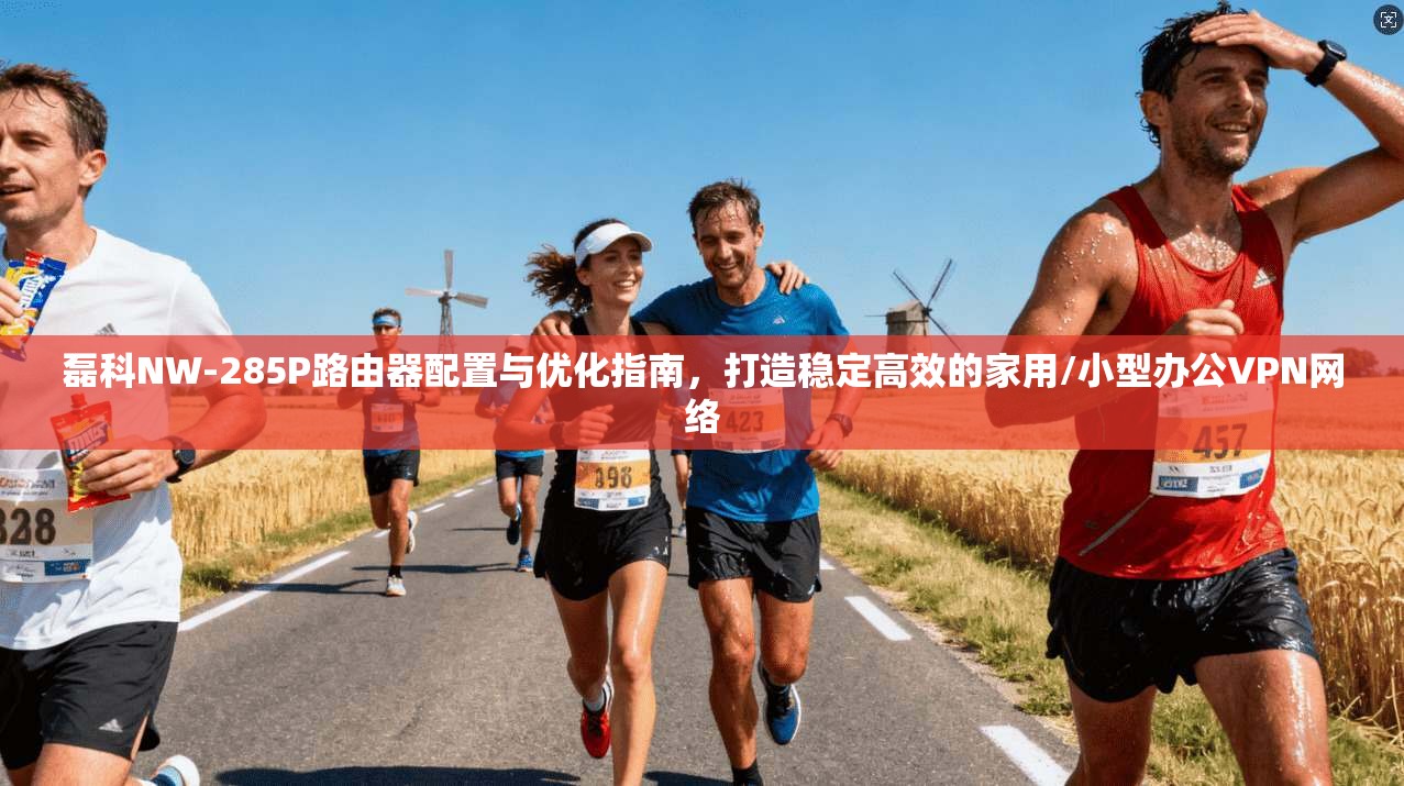 磊科NW-285P路由器配置与优化指南，打造稳定高效的家用/小型办公VPN网络