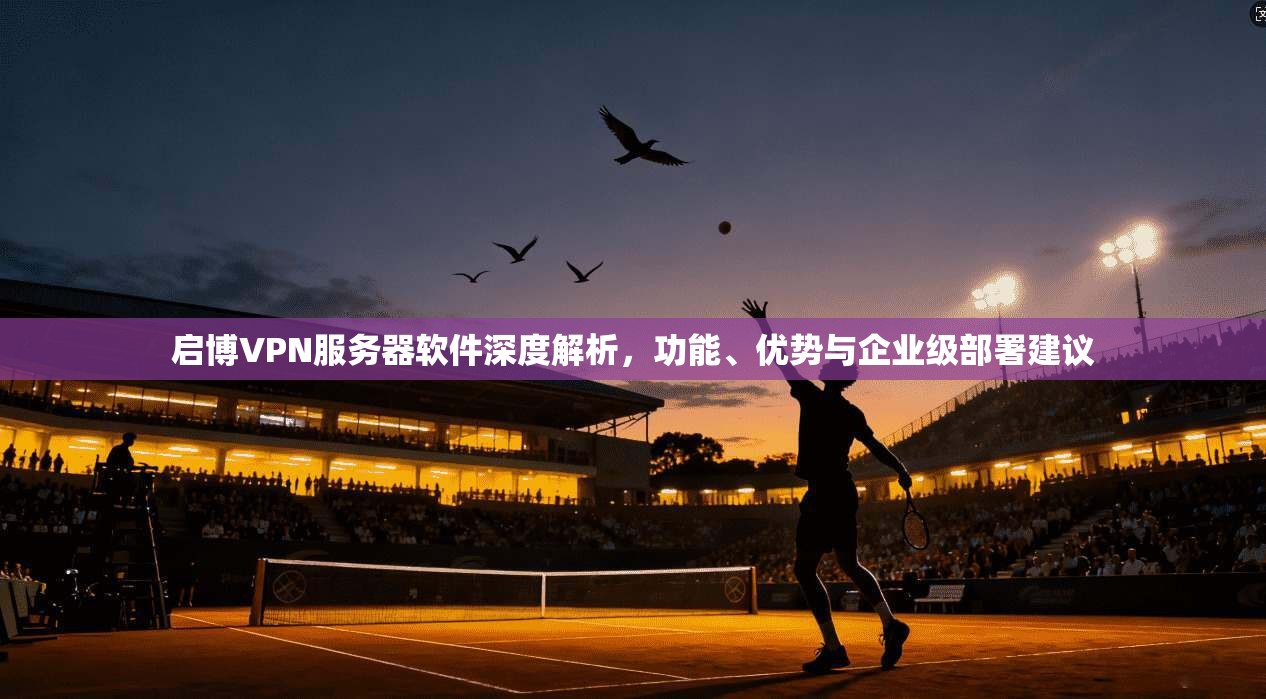 启博VPN服务器软件深度解析，功能、优势与企业级部署建议