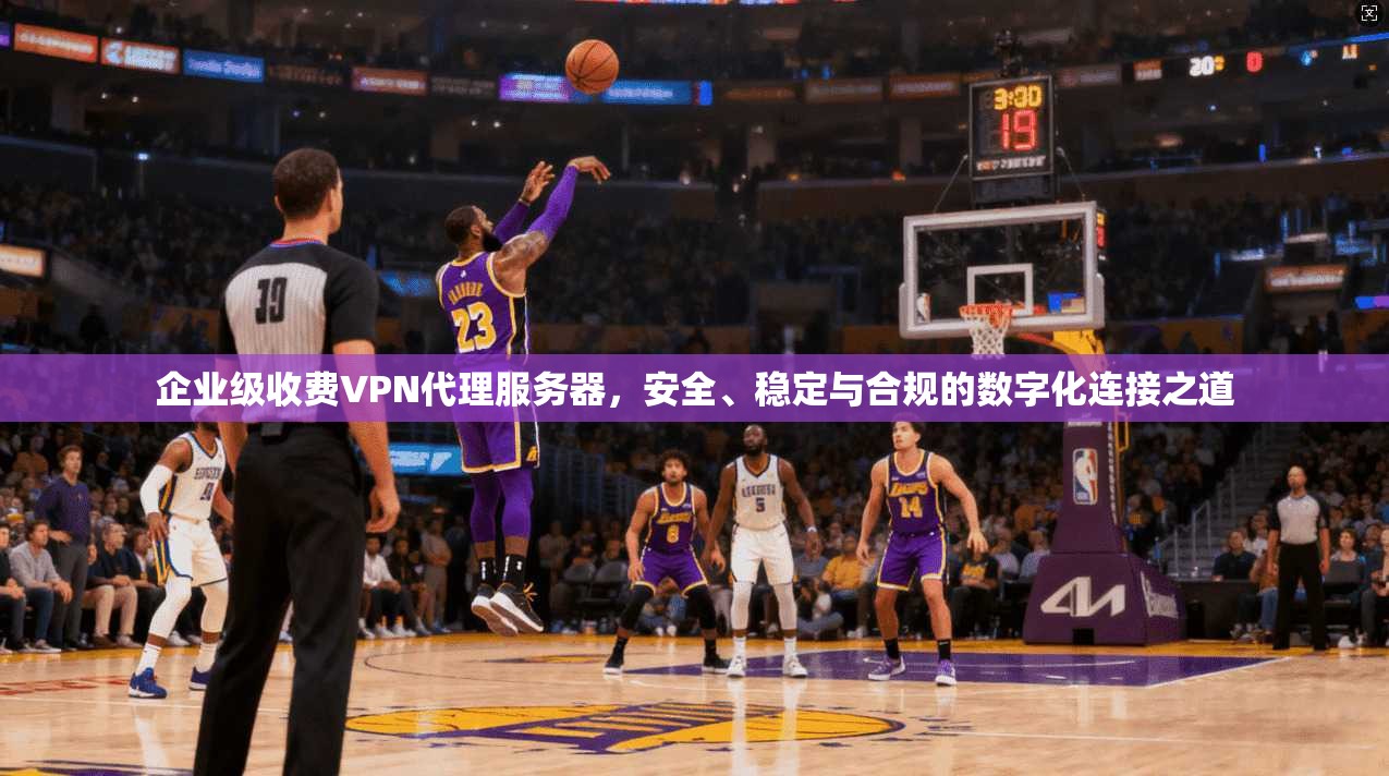 企业级收费VPN代理服务器，安全、稳定与合规的数字化连接之道