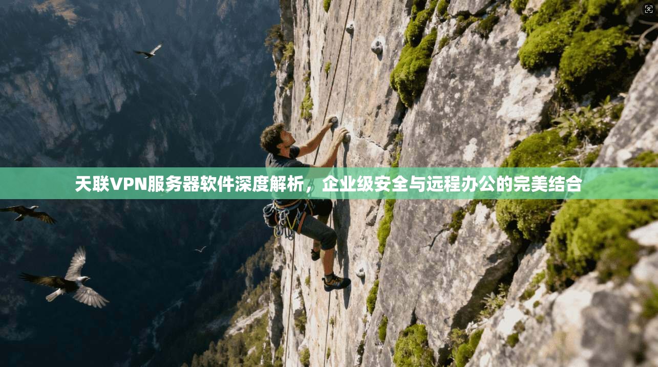 天联VPN服务器软件深度解析，企业级安全与远程办公的完美结合