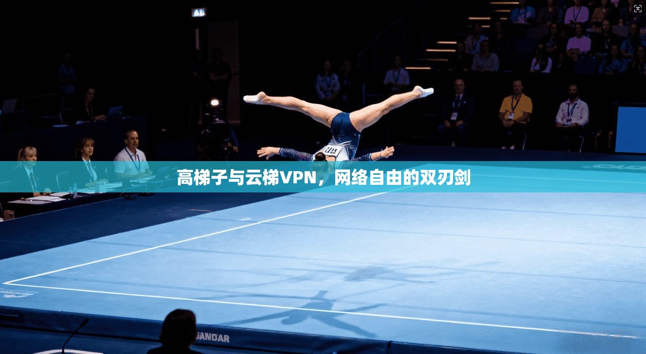 高梯子与云梯VPN，网络自由的双刃剑