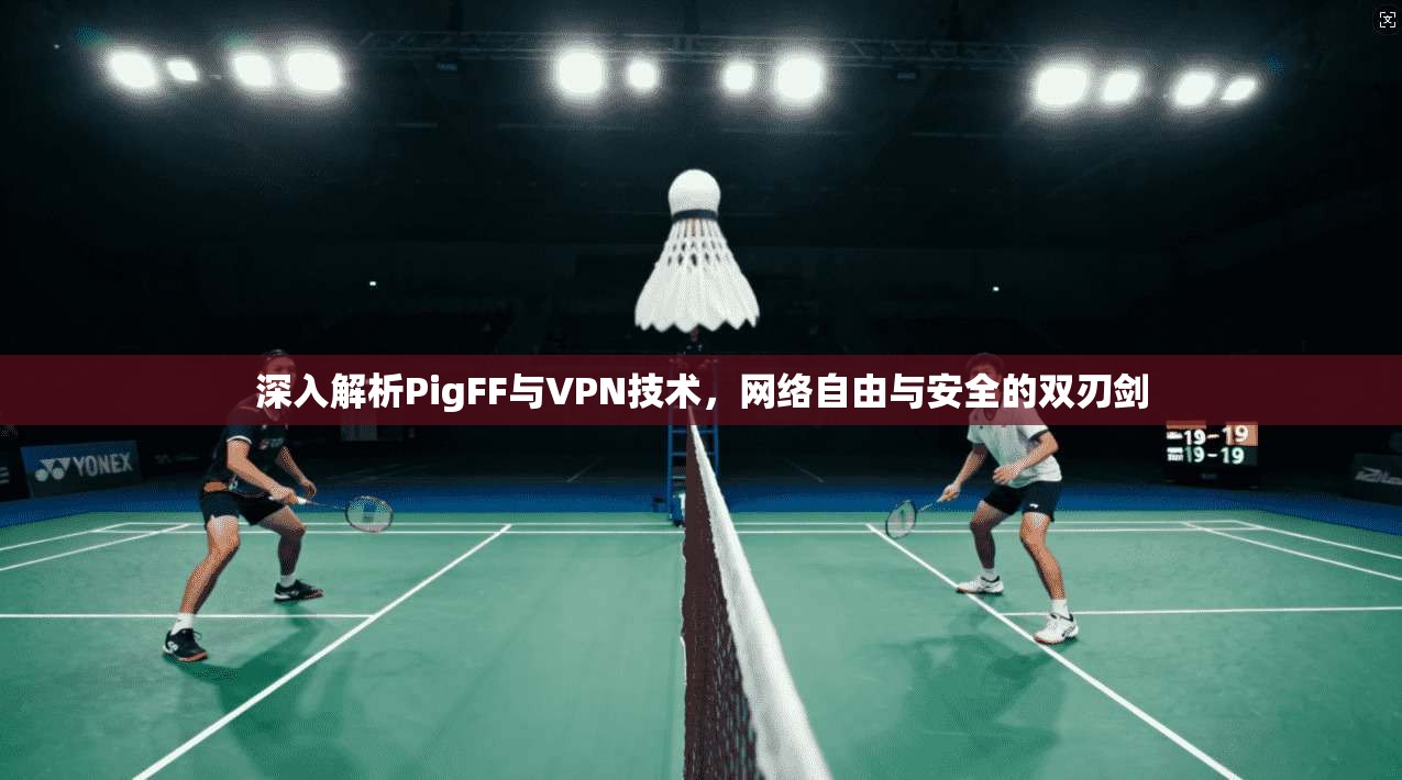 深入解析PigFF与VPN技术，网络自由与安全的双刃剑