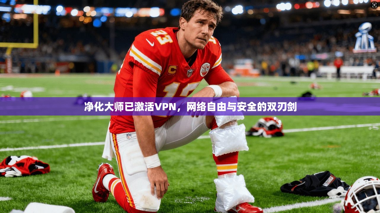 净化大师已激活VPN，网络自由与安全的双刃剑